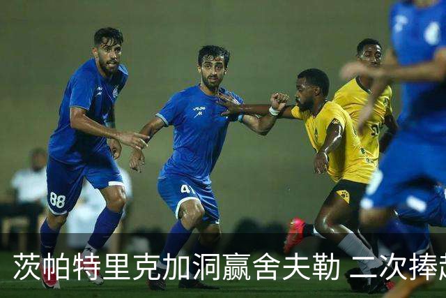 茨帕特里克加洞赢舍夫勒 二次捧起RBC传承赛奖杯